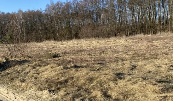 Działka budowlana Drogoszowice