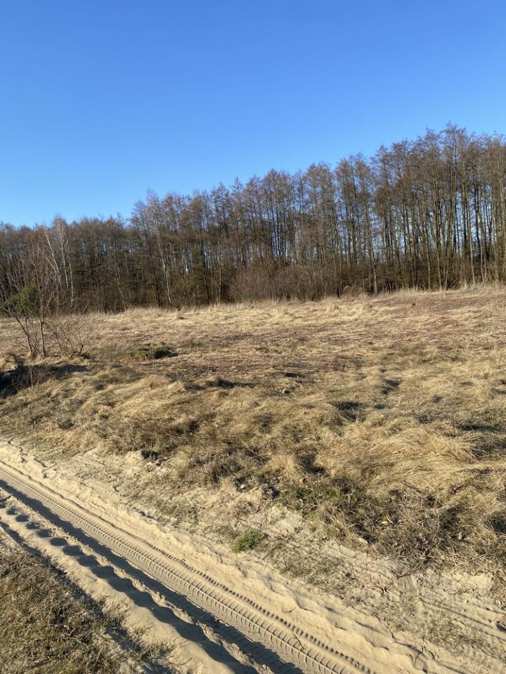 Działka budowlana Drogoszowice. Zdjęcie 1