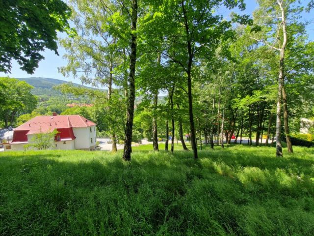 Działka budowlana Świeradów-Zdrój, ul. Lipowa. Zdjęcie 2