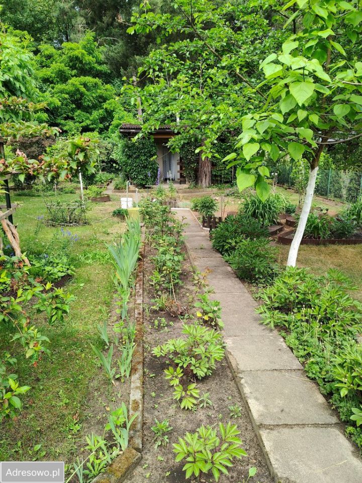 Działka rod Łódź Bałuty, ul. Krajowa. Zdjęcie 15