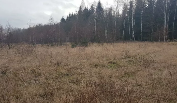 Działka budowlana Borówno