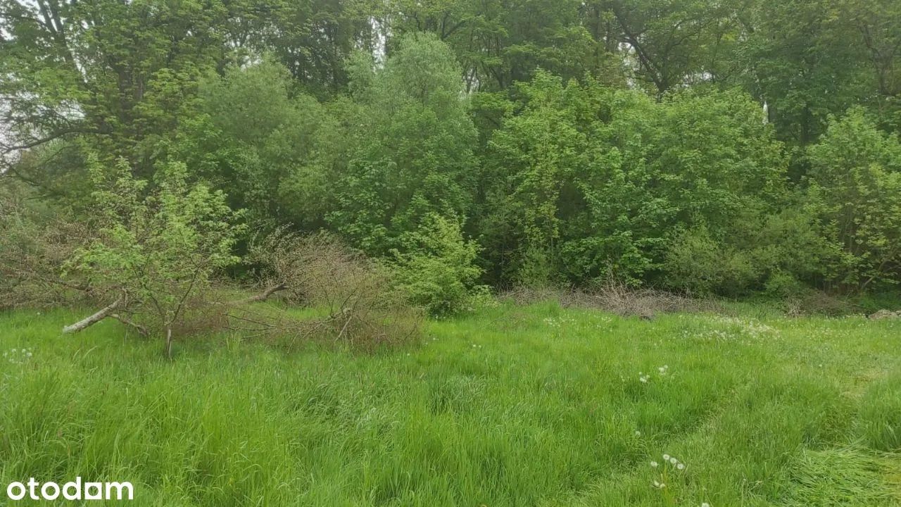 Działka budowlana Otmuchów, ul. 1 Maja. Zdjęcie 1