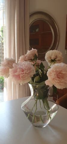 Mieszkanie 1-pokojowe Warszawa Natolin, ul. Franciszka Marii Lanciego. Zdjęcie 6