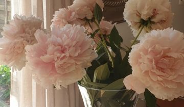 Mieszkanie 1-pokojowe Warszawa Natolin, ul. Franciszka Marii Lanciego