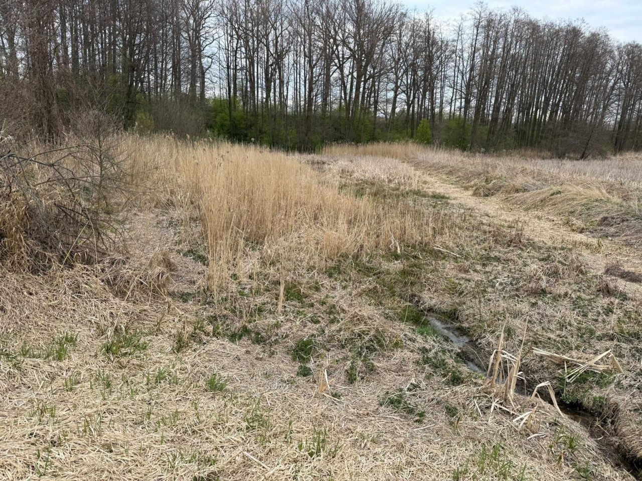 Działka rekreacyjna Potoczek. Zdjęcie 7