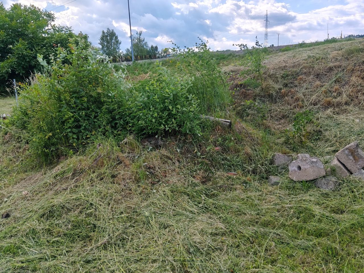 Działka rolno-budowlana Żurawica Zagumnienki Polskie, ul. Kasztanowa. Zdjęcie 6