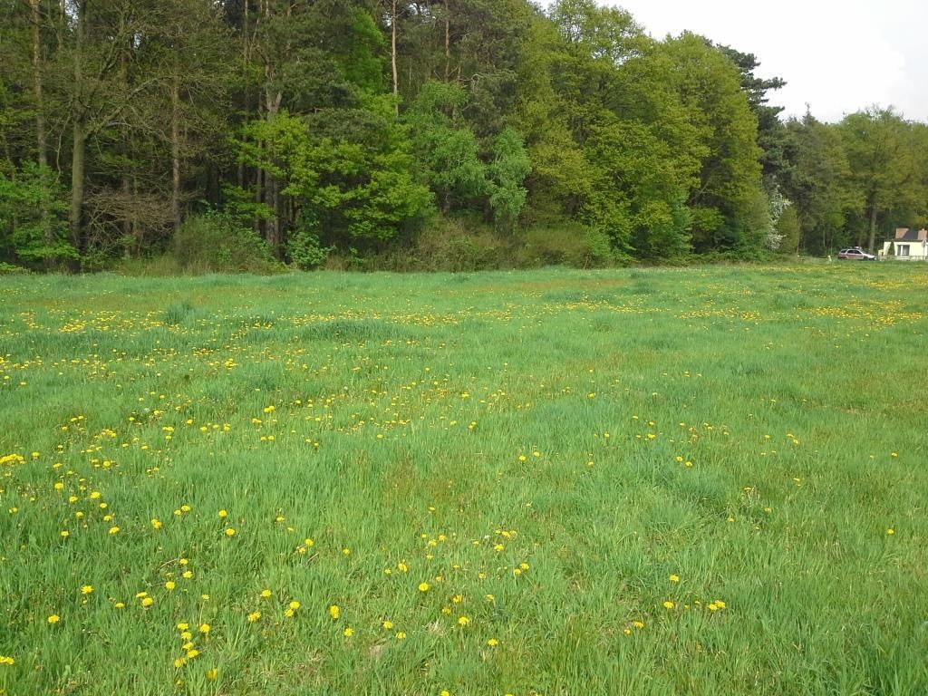 Działka budowlana Garbówek. Zdjęcie 6