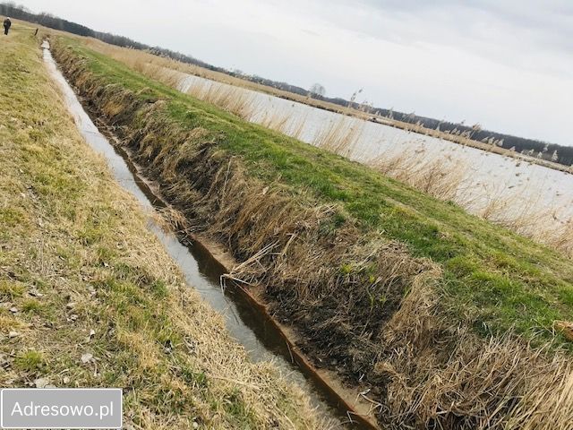 Działka siedliskowa Grzegorzewice. Zdjęcie 8