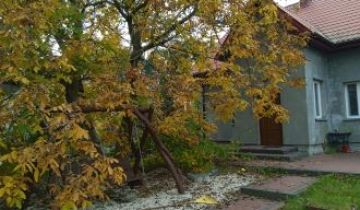dom wolnostojący, 4 pokoje Borowiczki-Pieńki, ul. Piastowska