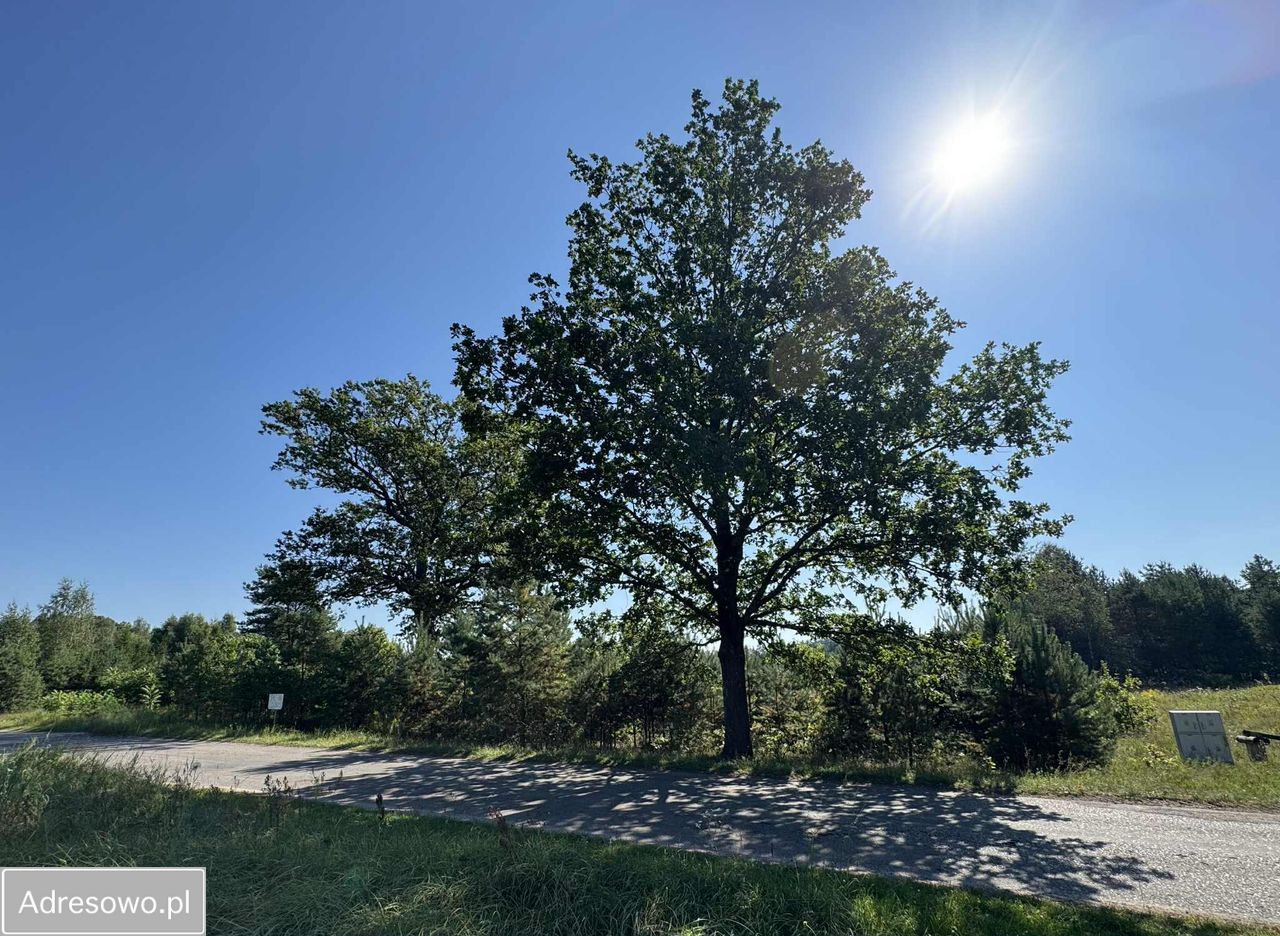 Działka budowlana Gorczyca. Zdjęcie 6