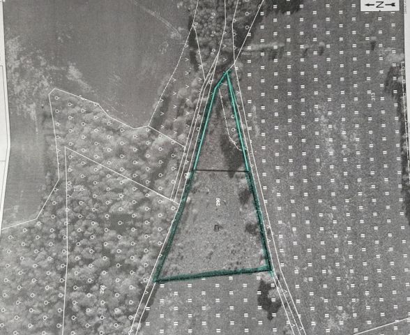 Działka rolna Wojcieszów. Zdjęcie 1