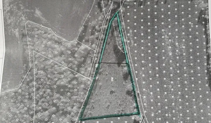 Działka rolna Wojcieszów