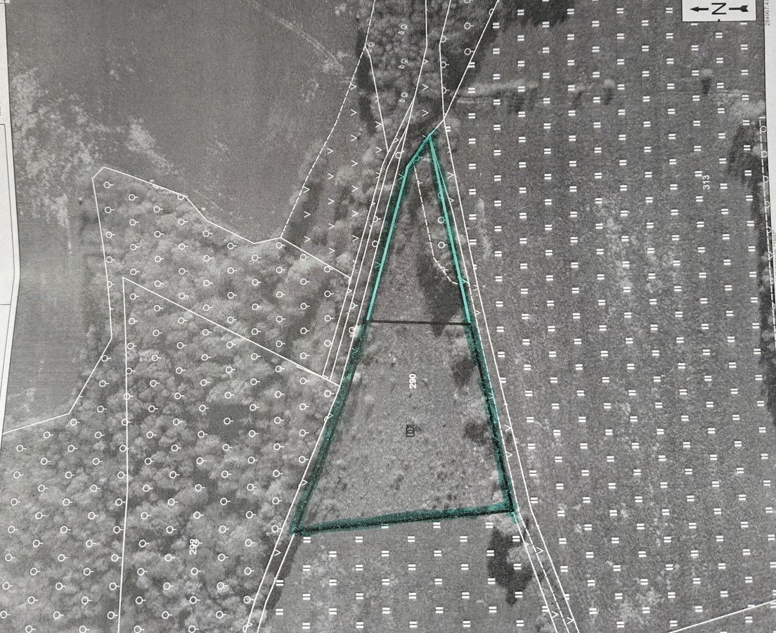 Działka rolna Wojcieszów. Zdjęcie 1