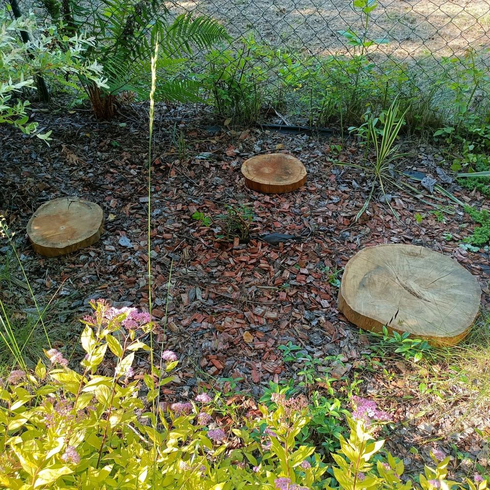 Działka rod Sosnowiec Pogoń. Zdjęcie 6