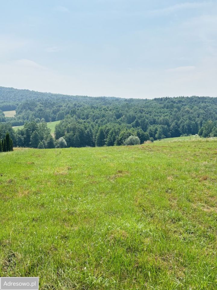 Działka siedliskowa Lipnica Dolna. Zdjęcie 7