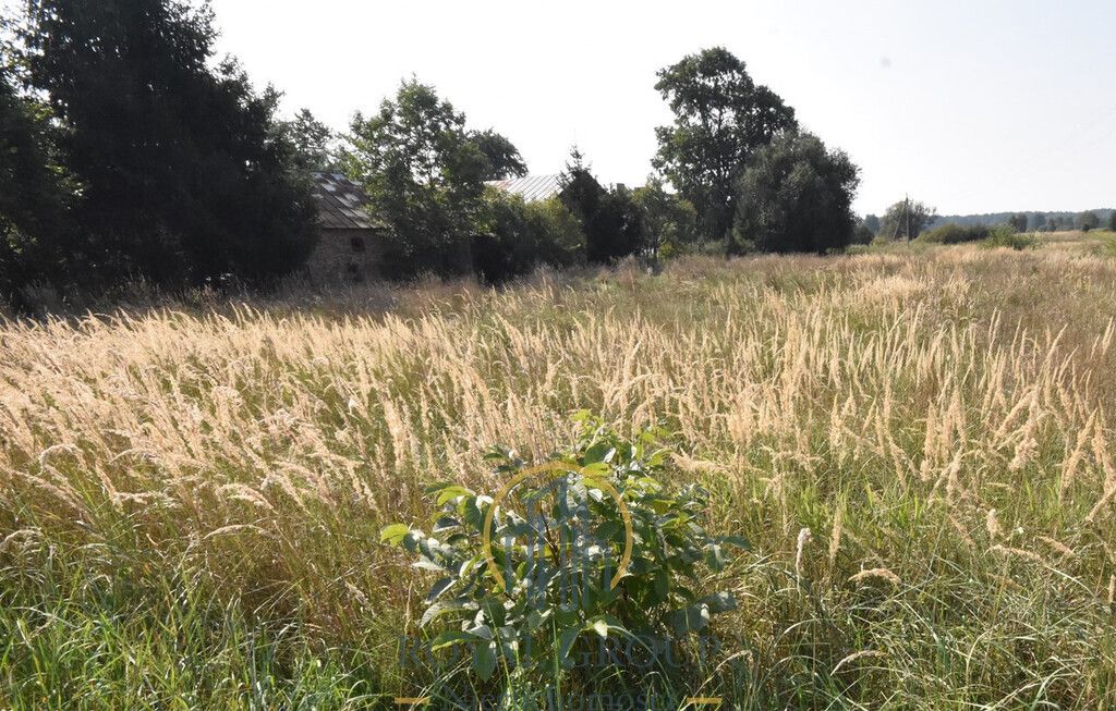 Działka Kamionka. Zdjęcie 3