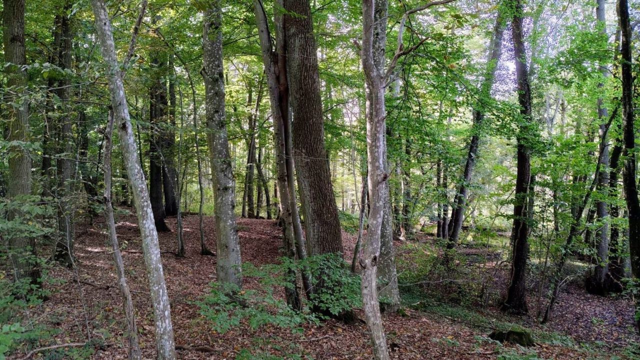 dom wolnostojący, 3 pokoje Kinowo. Zdjęcie 20