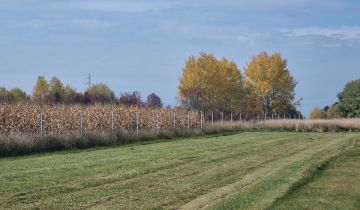 Działka budowlana Bór