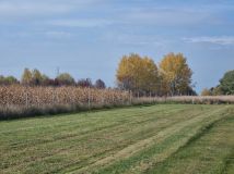 Działka budowlana Bór. Zdjęcie 1