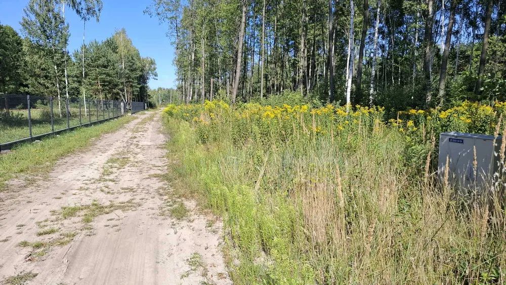 Działka budowlana Radziwiłłów, ul. Zielna. Zdjęcie 2