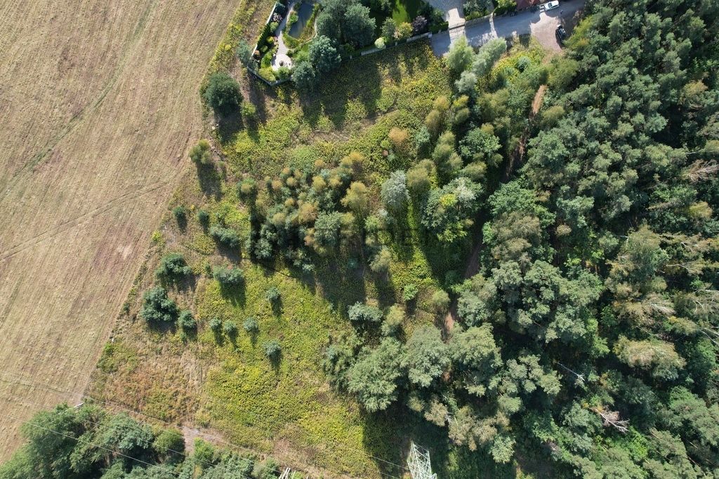 Działka budowlana Władysławów. Zdjęcie 6