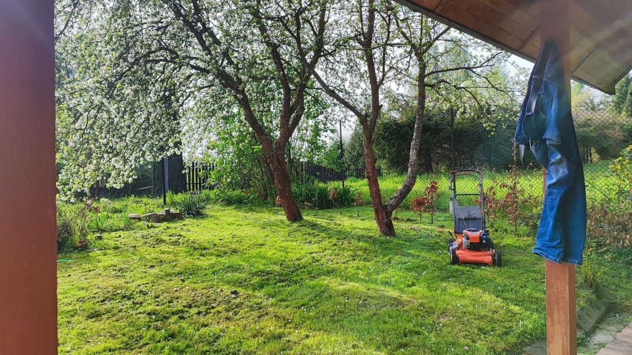 Działka rod Brzyczyna. Zdjęcie 5