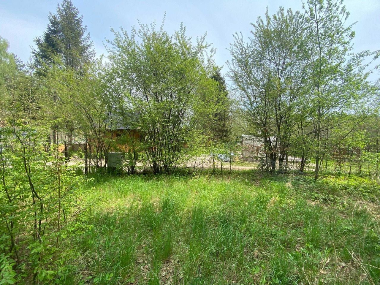 Działka rod Warzenko, ul. Działkowa. Zdjęcie 6