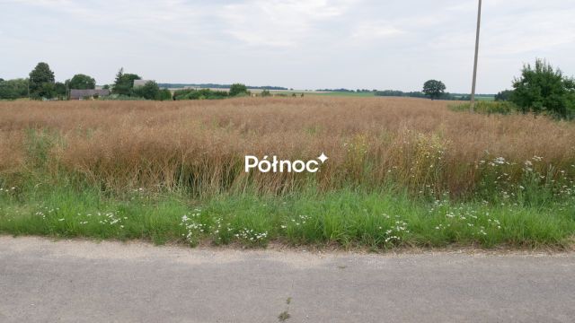 Działka budowlana Żeliszów. Zdjęcie 2