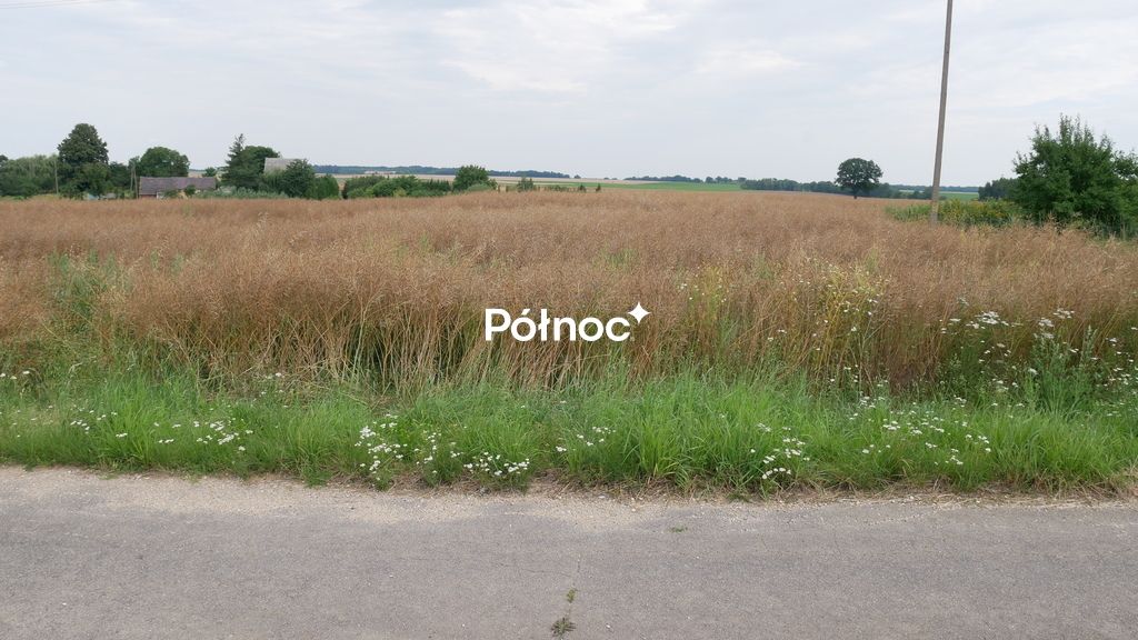Działka budowlana Żeliszów. Zdjęcie 2