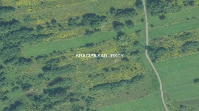 Działka rolno-budowlana Podstolice. Zdjęcie 3