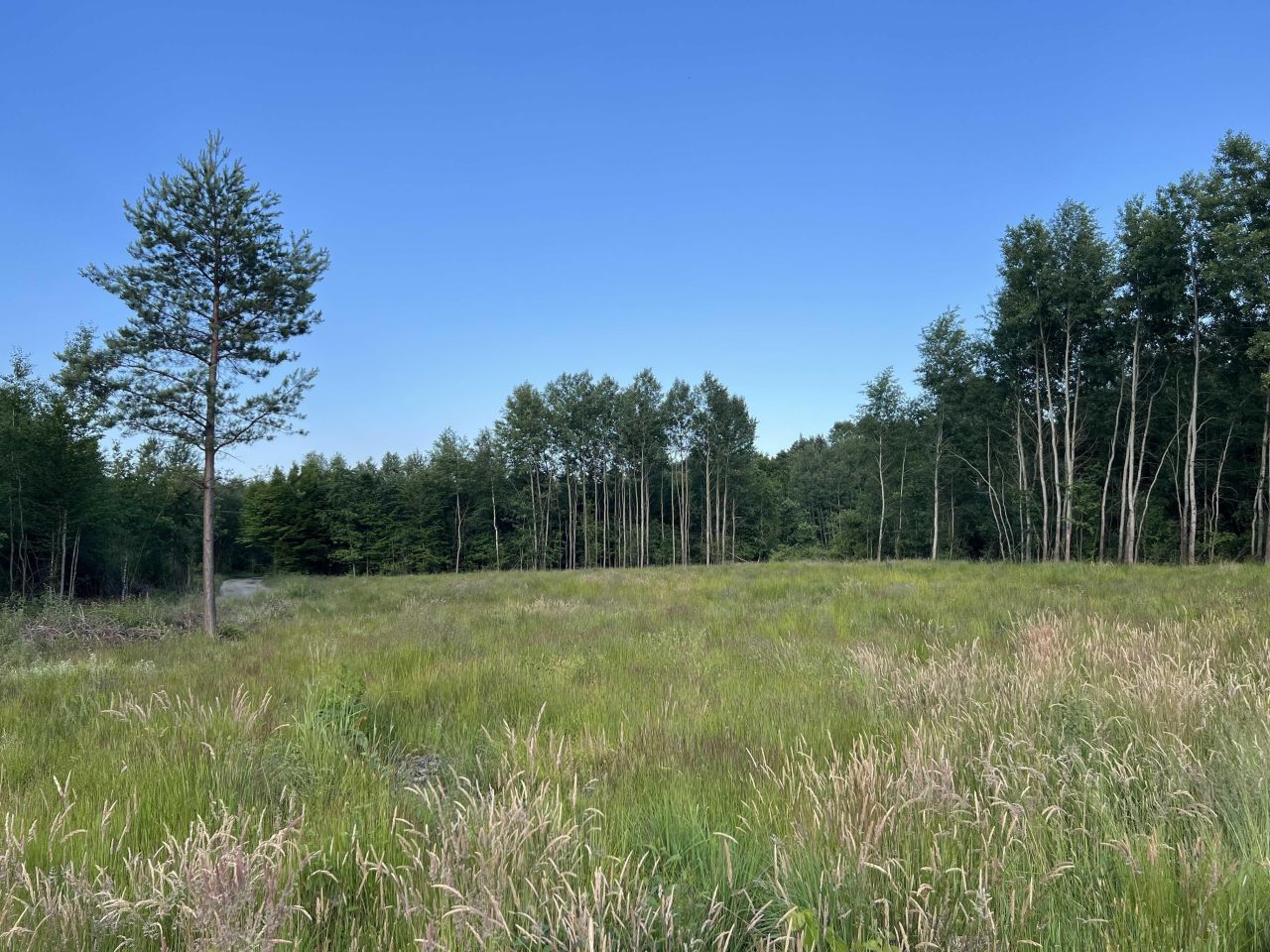 Działka budowlana Paruchy. Zdjęcie 3