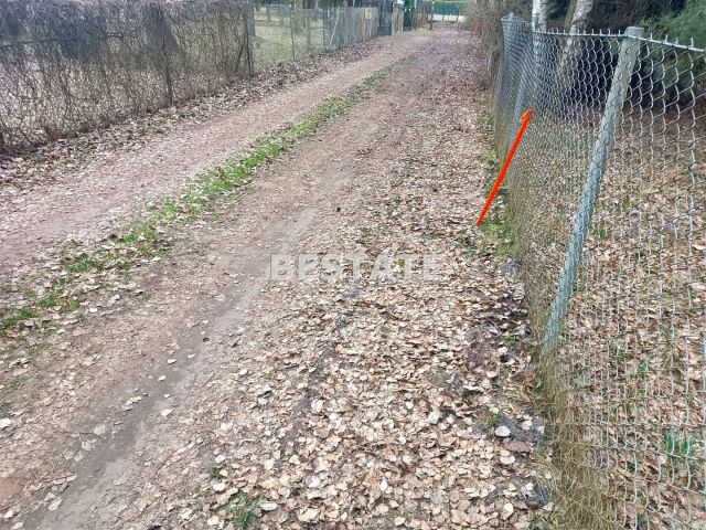 Działka Drużbice. Zdjęcie 13