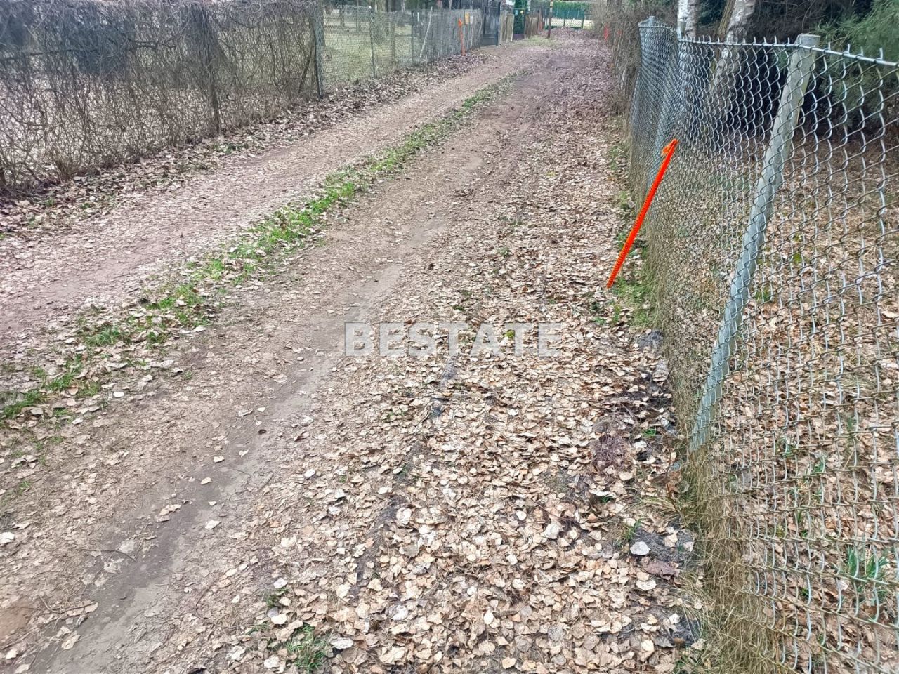 Działka Drużbice. Zdjęcie 13