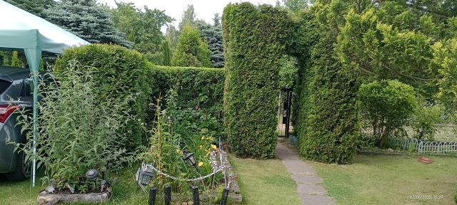 Działka rod Łódź Nowosolna, ul. Olkuska. Zdjęcie 5