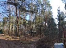 Działka leśna Rosanów, ul. Zielona. Zdjęcie 4