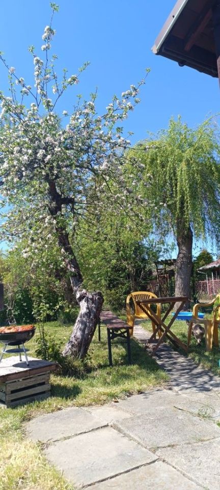 Działka rod Proszowice. Zdjęcie 5