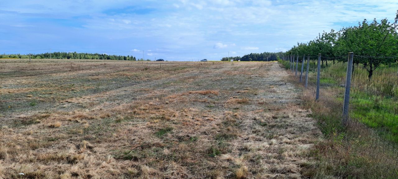 Działka budowlana Przypki, ul. Leśna. Zdjęcie 3
