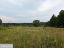 Działka siedliskowa Wólka Rejowiecka. Zdjęcie 2