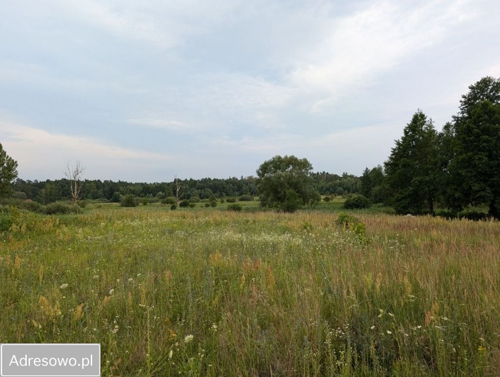 Działka siedliskowa Wólka Rejowiecka. Zdjęcie 3