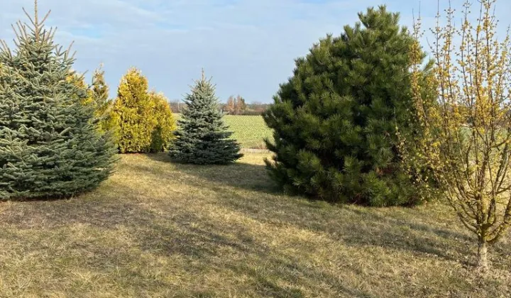Działka rolno-budowlana Osmolice Pierwsze