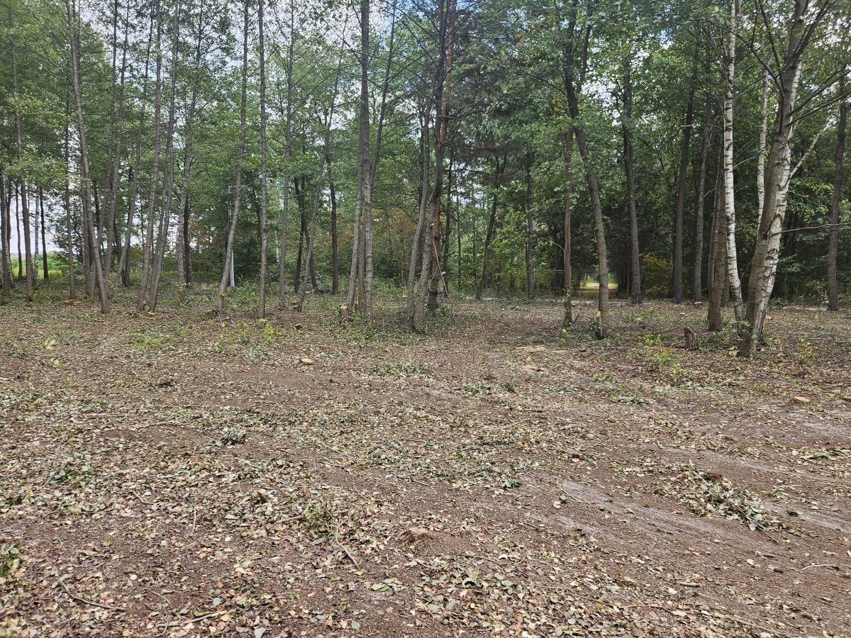 Działka budowlana Żanęcin, ul. Gościniec. Zdjęcie 6