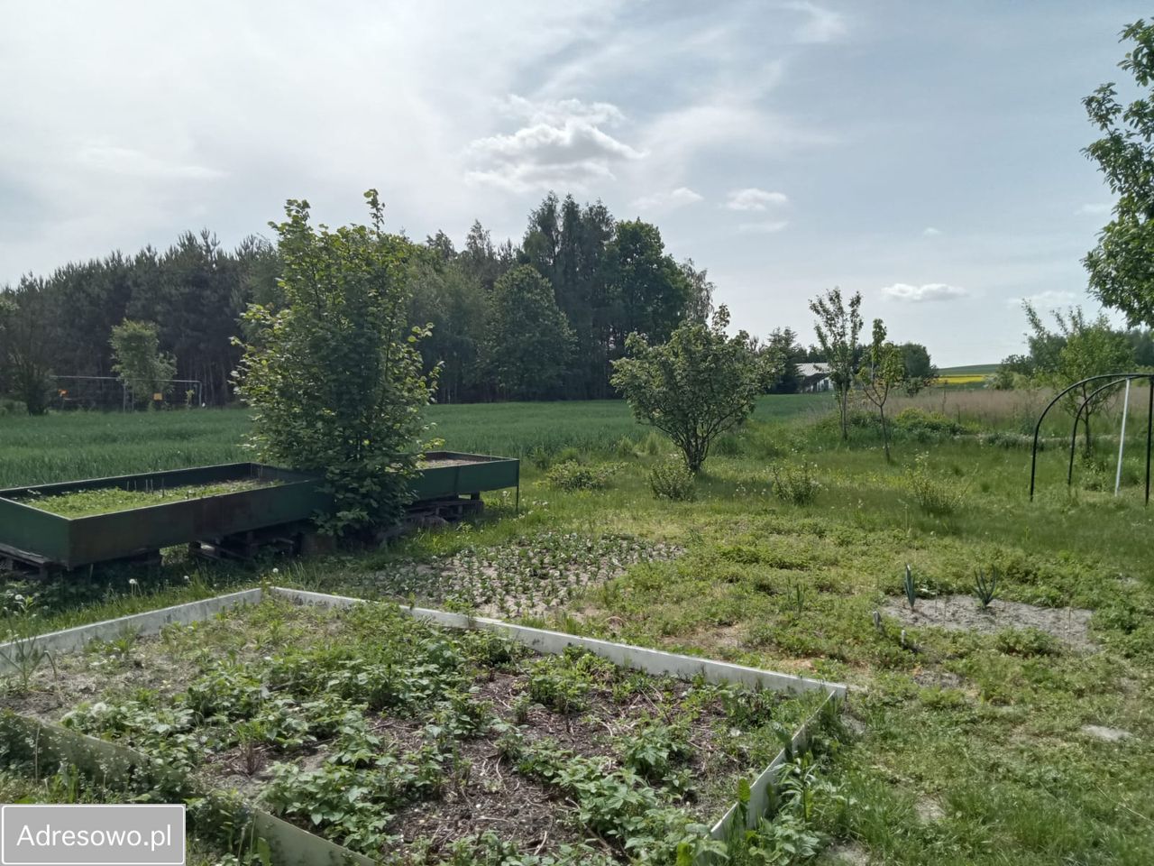 dom wolnostojący Jędrzejów. Zdjęcie 5