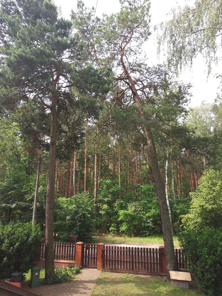 dom wolnostojący, 15 pokoi Urle, ul. Stanisława Augusta Poniatowskiego. Zdjęcie 18