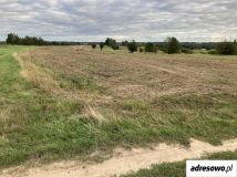 Działka rolna Kolbuszowa Górna. Zdjęcie 1
