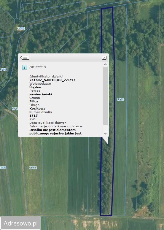 Działka rolna Kocikowa. Zdjęcie 2