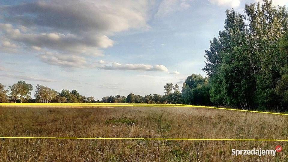 Działka rekreacyjna Łokciowe. Zdjęcie 2