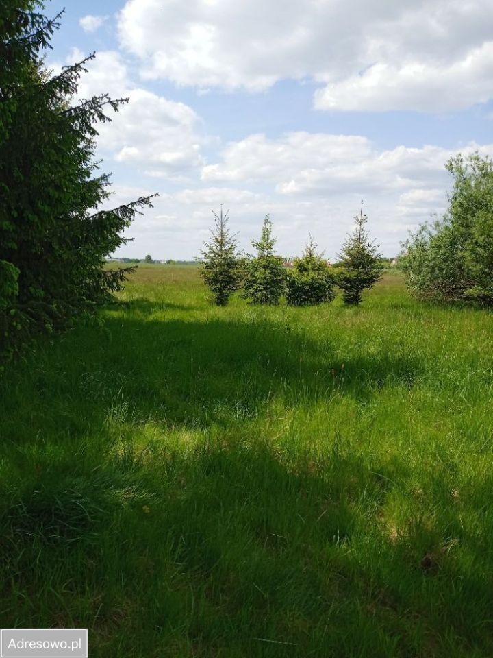 Działka budowlana Jerzmanki. Zdjęcie 7