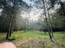 Działka budowlana Anielin. Zdjęcie 3