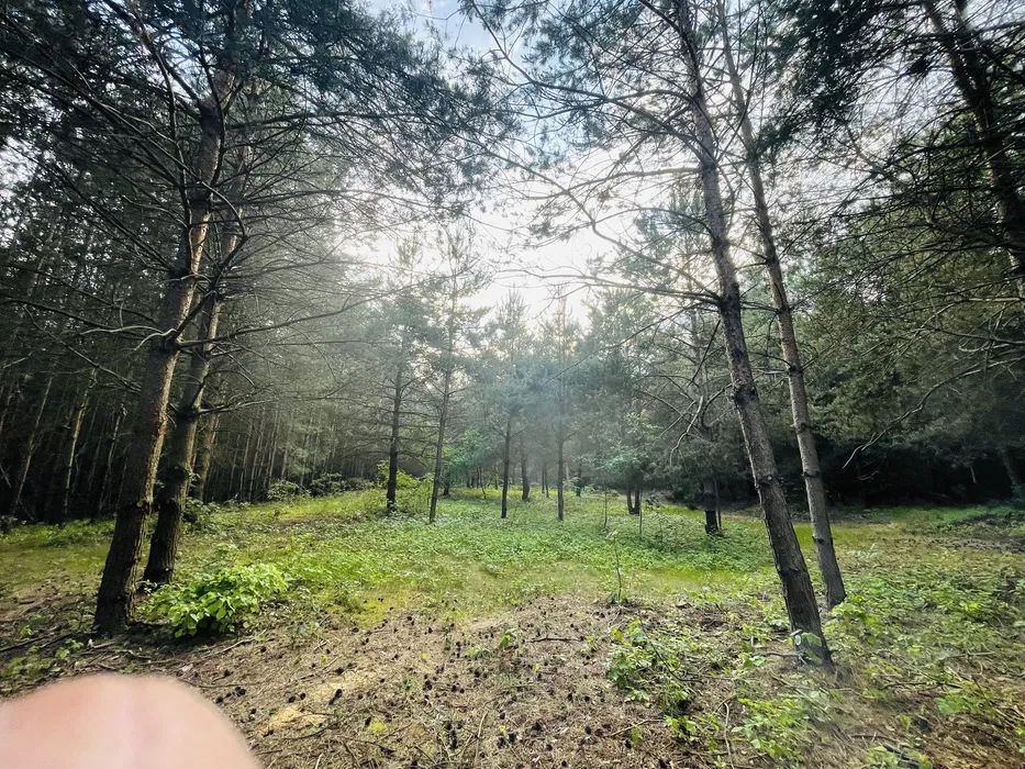 Działka budowlana Anielin. Zdjęcie 4