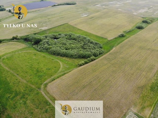 Działka inwestycyjna Sztum. Zdjęcie 10